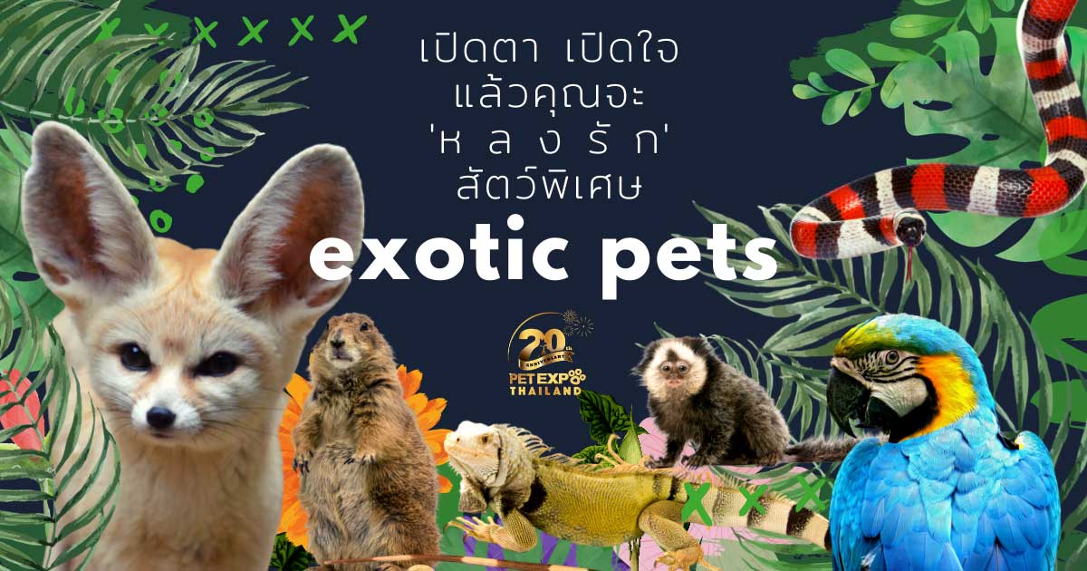 Pet Expo Thailand & Pet Expo Championship