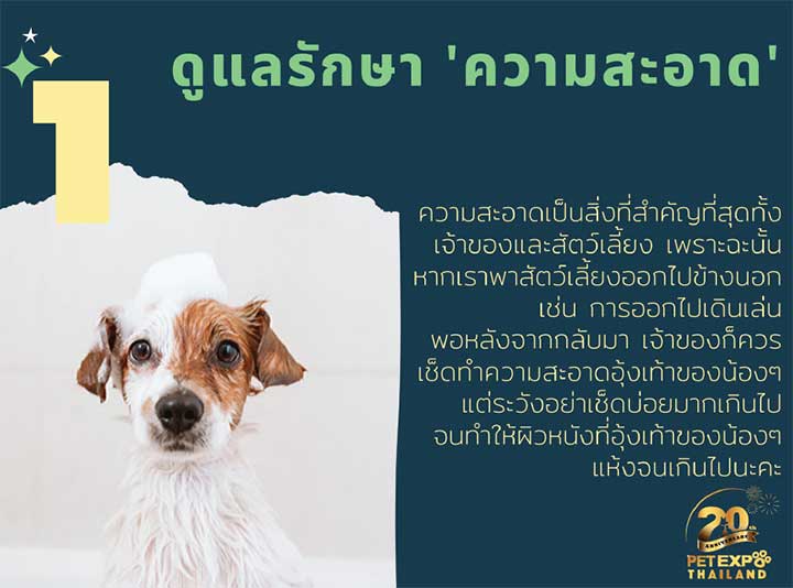 Pet Expo Thailand & Pet Expo Championship