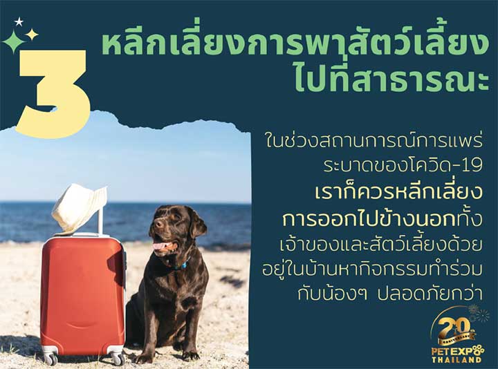 Pet Expo Thailand & Pet Expo Championship