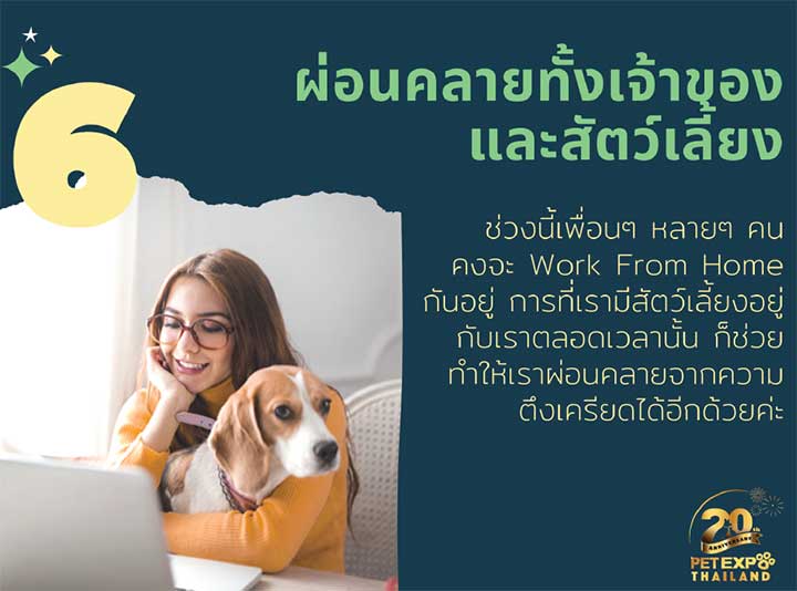 Pet Expo Thailand & Pet Expo Championship