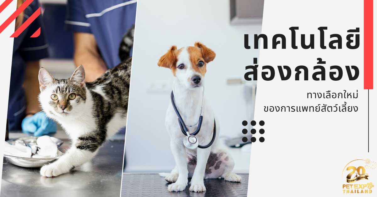 Pet Expo Thailand & Pet Expo Championship