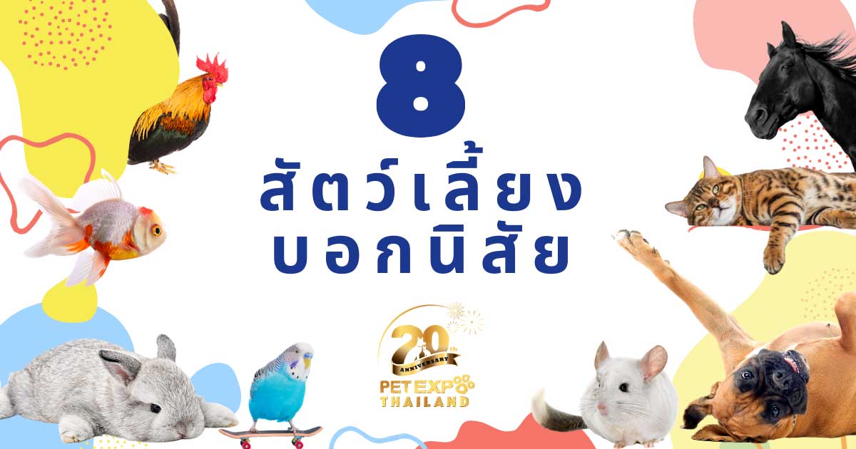 Pet Expo Thailand & Pet Expo Championship