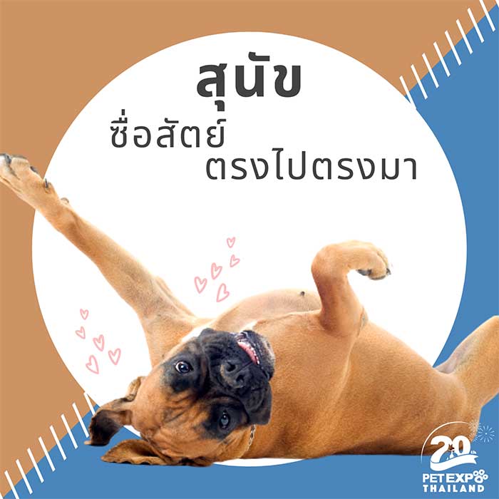 Pet Expo Thailand & Pet Expo Championship