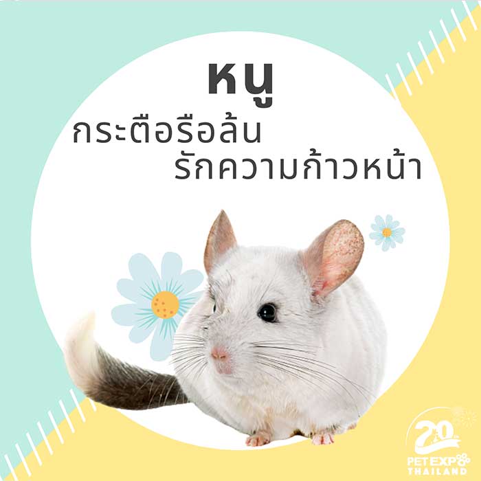 Pet Expo Thailand & Pet Expo Championship