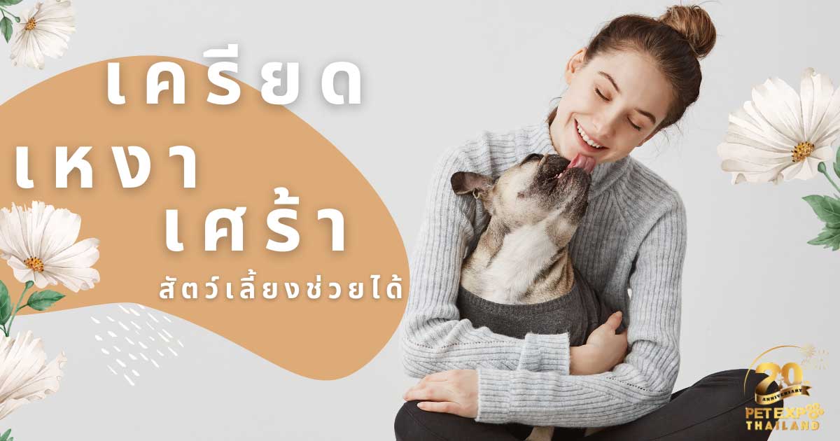 Pet Expo Thailand & Pet Expo Championship