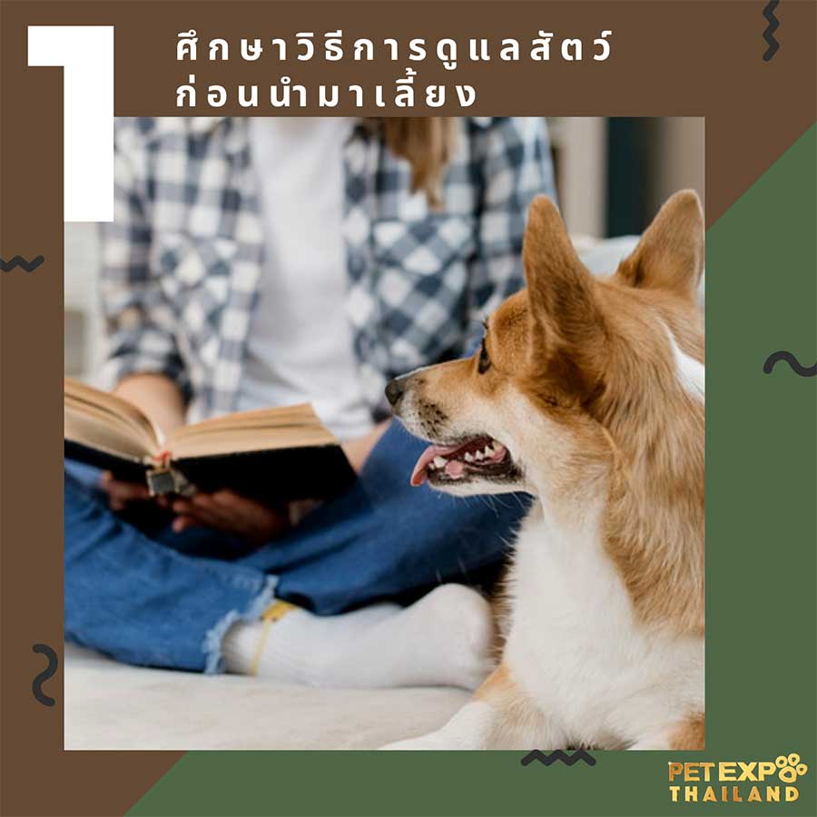 Pet Expo Thailand & Pet Expo Championship