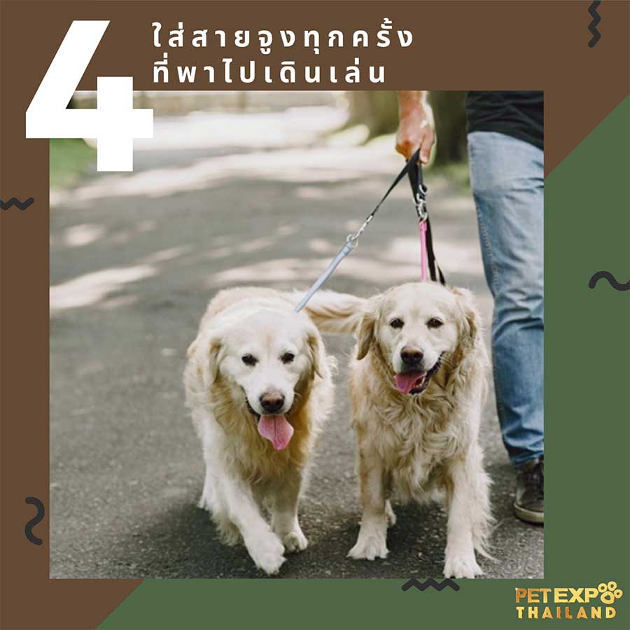 Pet Expo Thailand & Pet Expo Championship