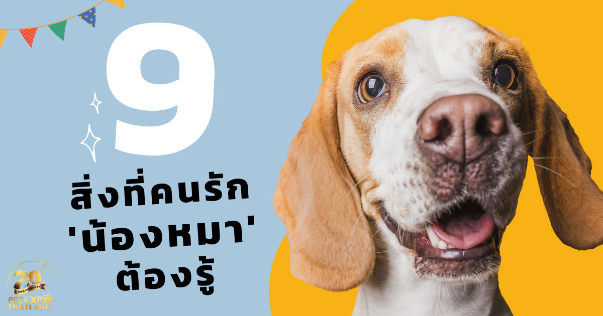 Pet Expo Thailand & Pet Expo Championship