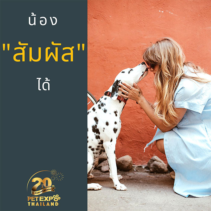 Pet Expo Thailand & Pet Expo Championship