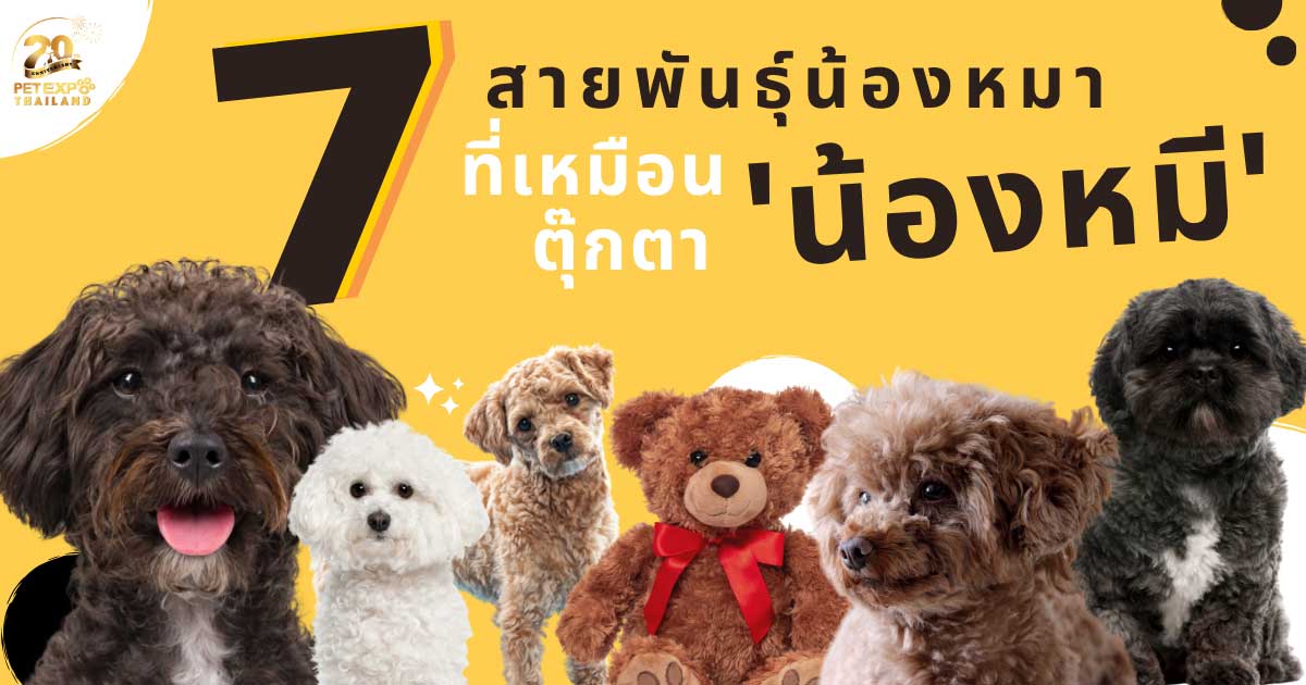 Pet Expo Thailand & Pet Expo Championship