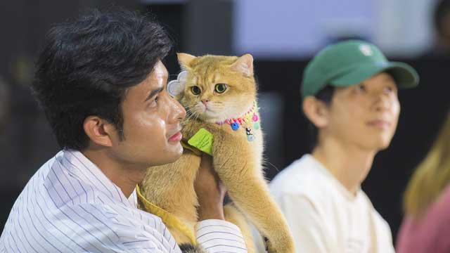 Pet Expo Championship