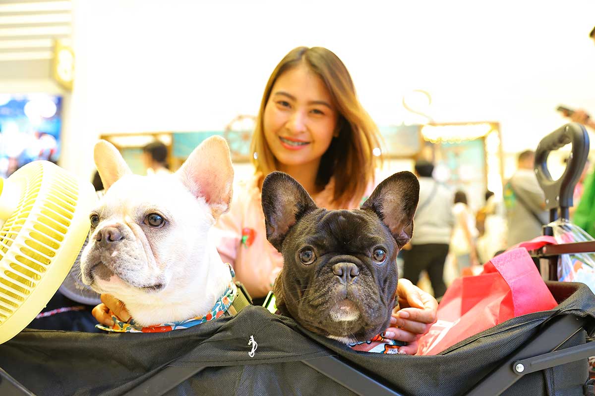 Pet Expo Thailand & Pet Expo Championship