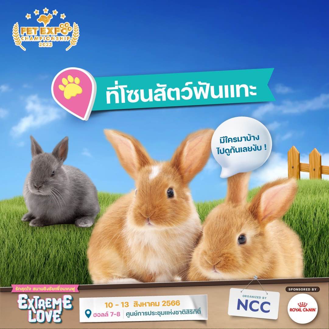 Pet Expo Thailand & Pet Expo Championship