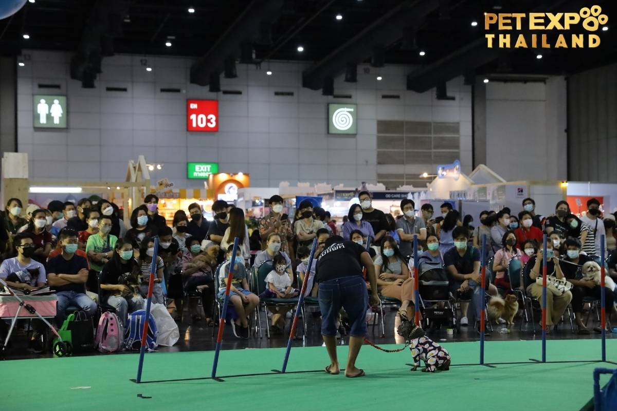 Pet Expo Thailand