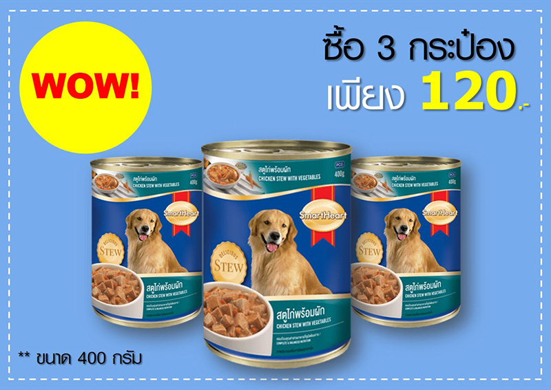 Pet Expo Thailand & Pet Expo Championship