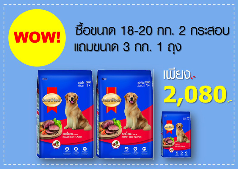 Pet Expo Thailand & Pet Expo Championship