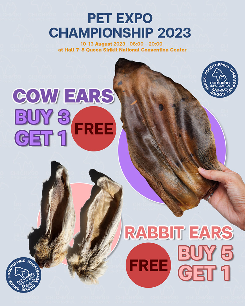 Pet Expo Thailand & Pet Expo Championship