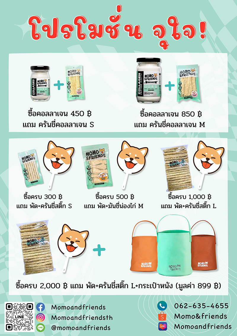 Pet Expo Thailand & Pet Expo Championship
