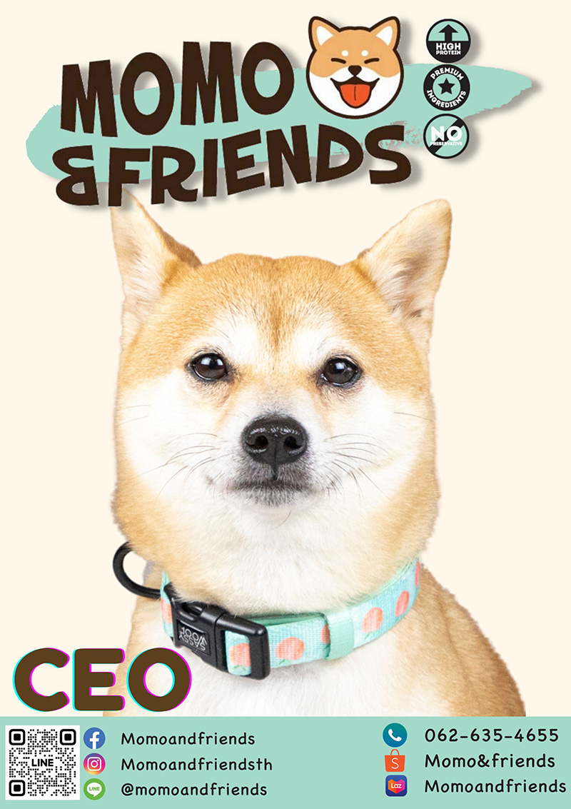 Pet Expo Thailand & Pet Expo Championship