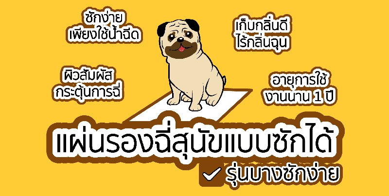 Pet Expo Thailand & Pet Expo Championship