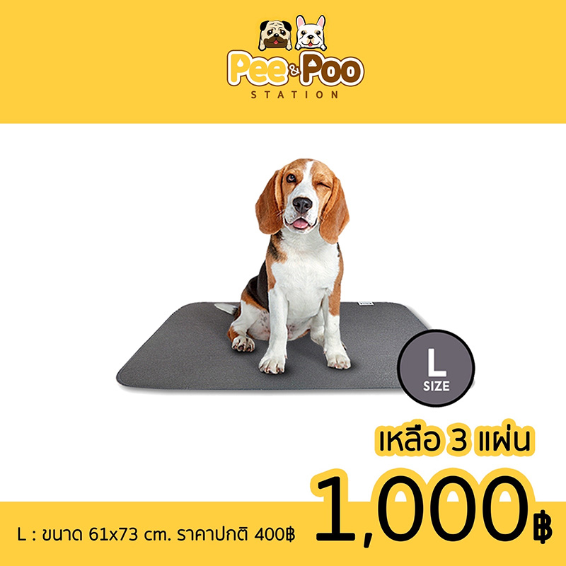 Pet Expo Thailand & Pet Expo Championship