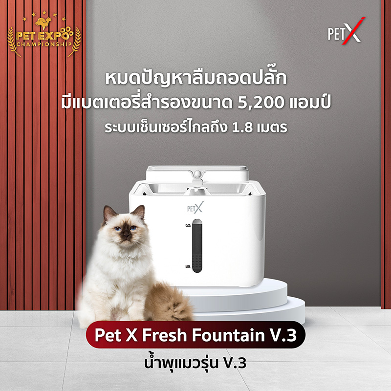 Pet Expo Thailand & Pet Expo Championship