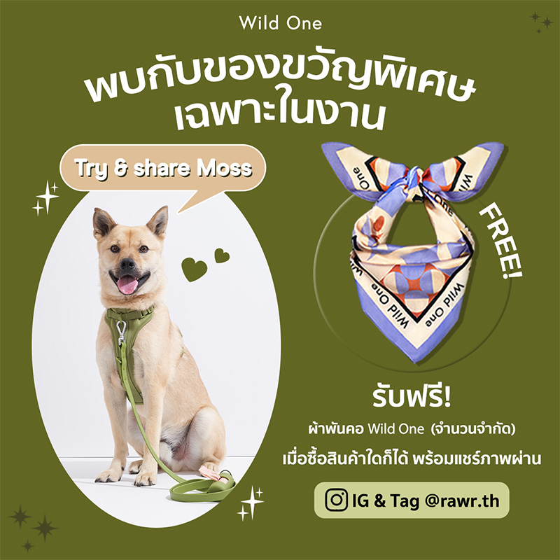 Pet Expo Thailand & Pet Expo Championship