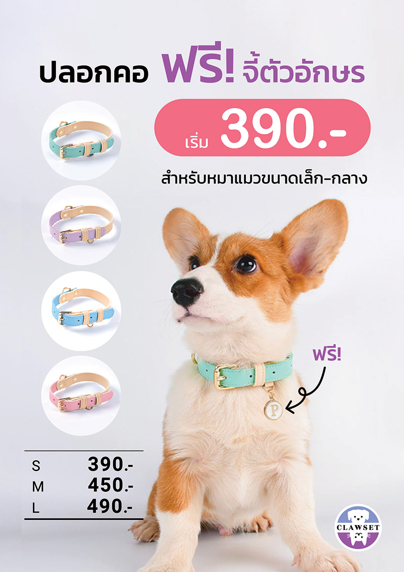 Pet Expo Thailand & Pet Expo Championship