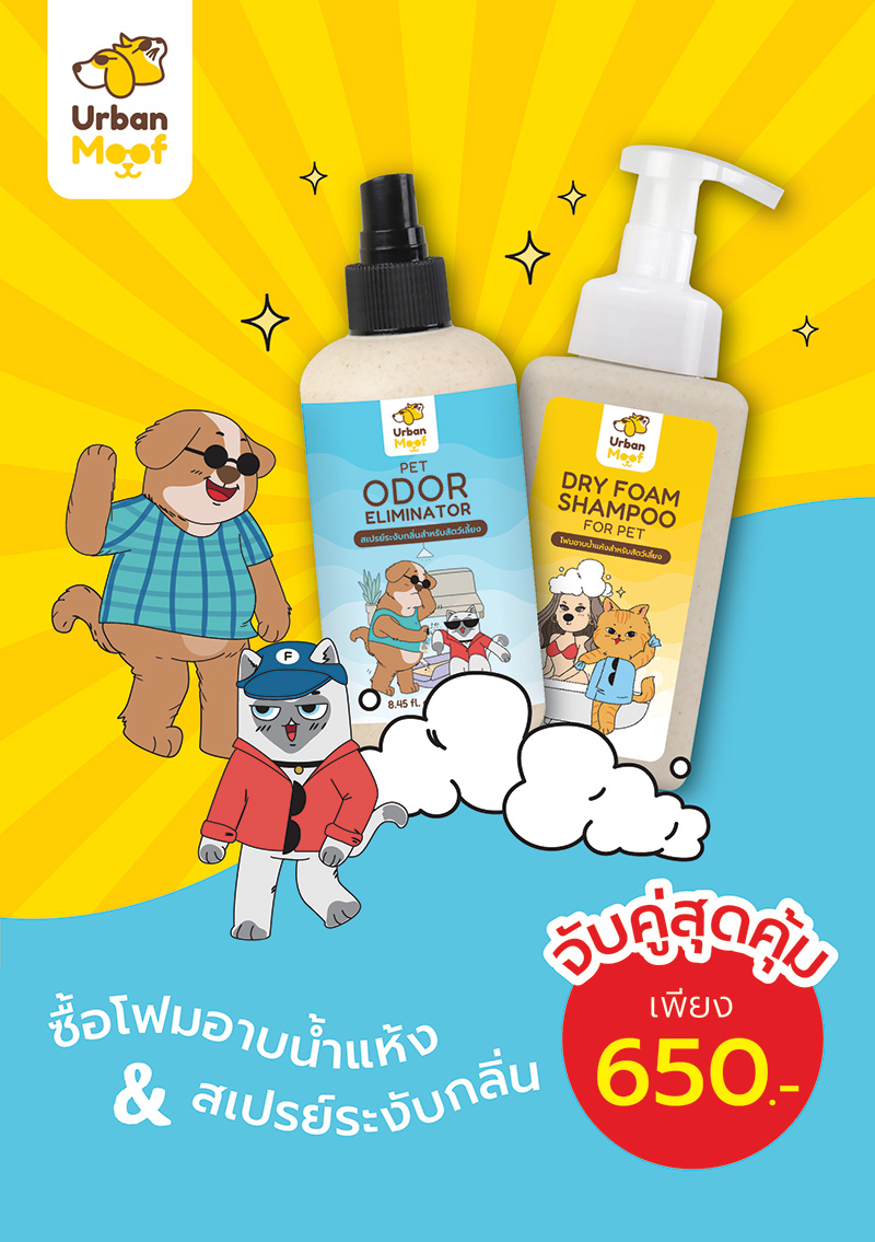 Pet Expo Thailand & Pet Expo Championship