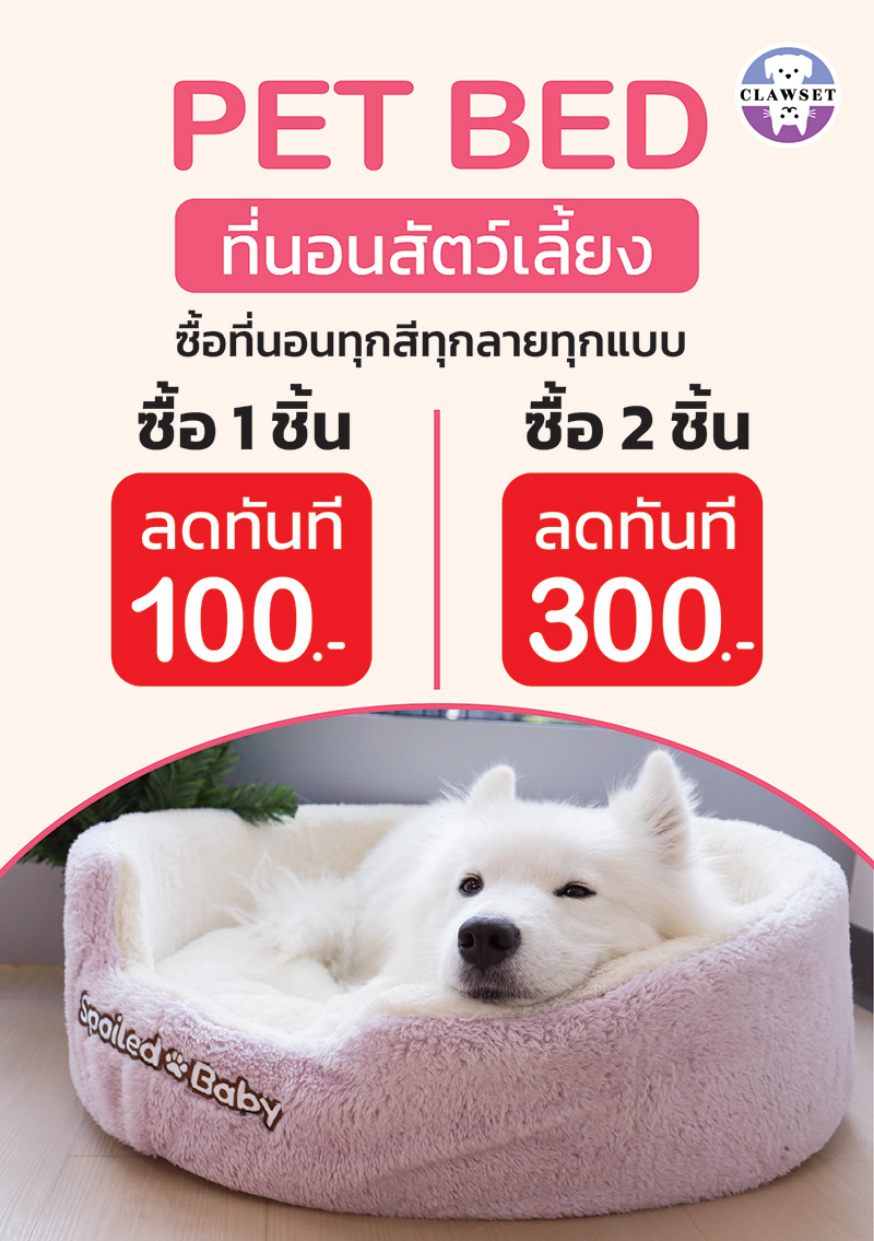 Pet Expo Thailand & Pet Expo Championship