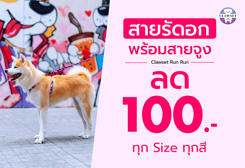 Pet Expo Thailand & Pet Expo Championship