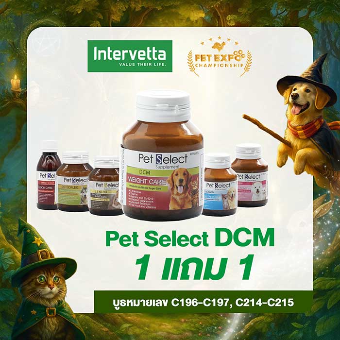 Pet Expo Thailand & Pet Expo Championship