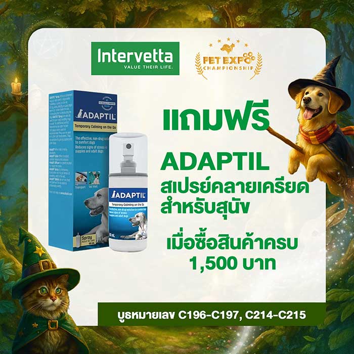 Pet Expo Thailand & Pet Expo Championship