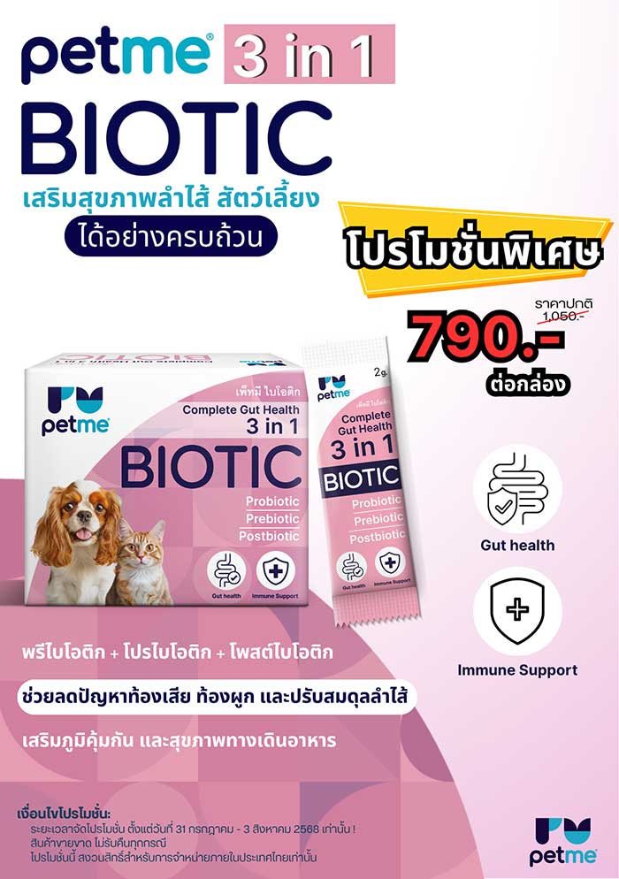 Pet Expo Thailand & Pet Expo Championship