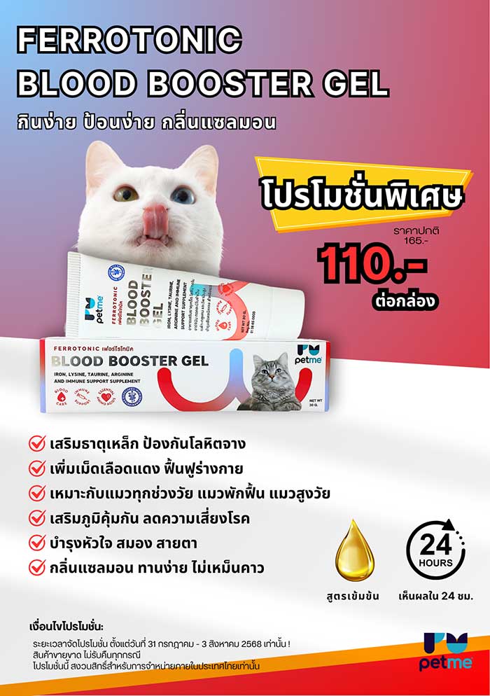 Pet Expo Thailand & Pet Expo Championship