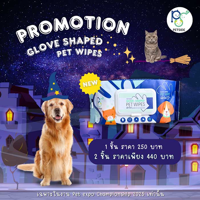 Pet Expo Thailand & Pet Expo Championship