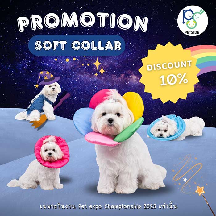 Pet Expo Thailand & Pet Expo Championship