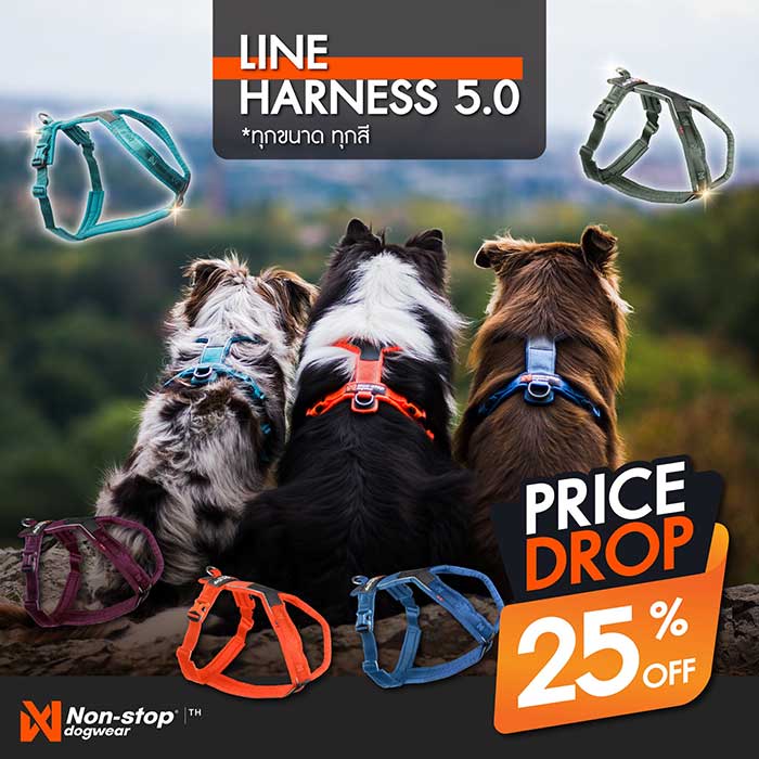 Pet Expo Thailand & Pet Expo Championship