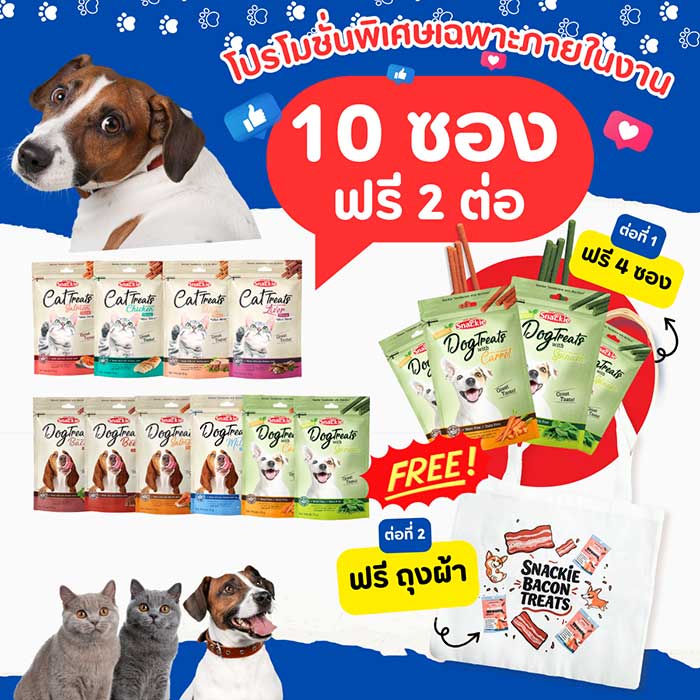 Pet Expo Thailand & Pet Expo Championship