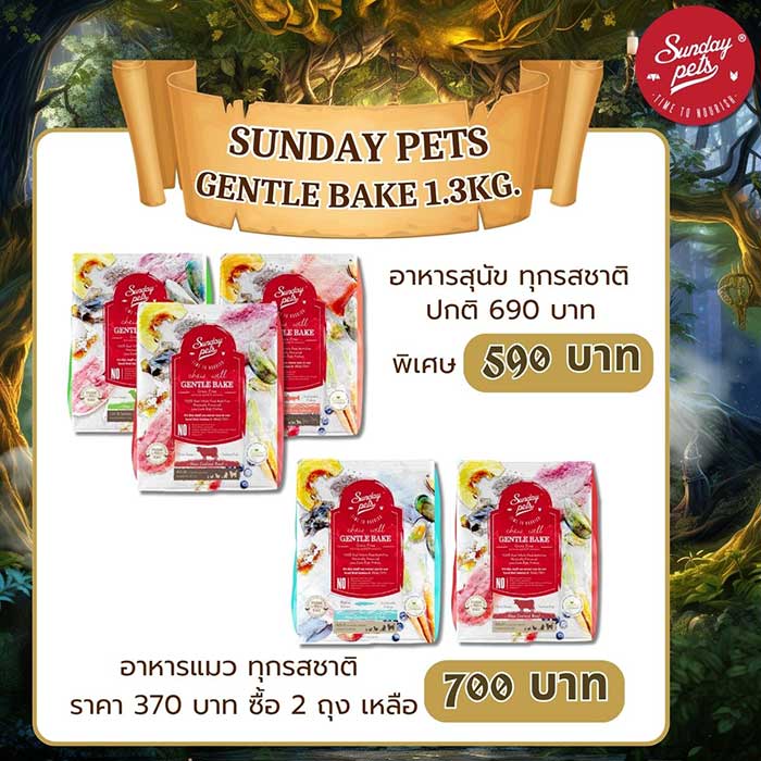 Pet Expo Thailand & Pet Expo Championship