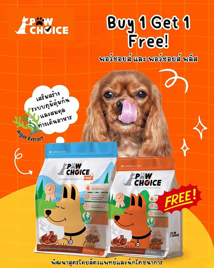 Pet Expo Thailand & Pet Expo Championship