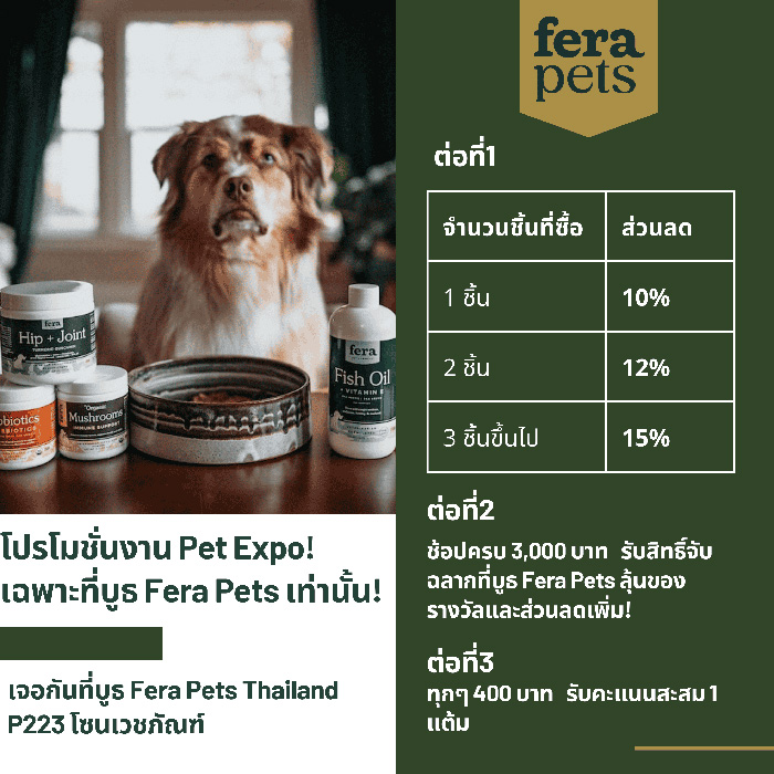 Pet Expo Thailand & Pet Expo Championship