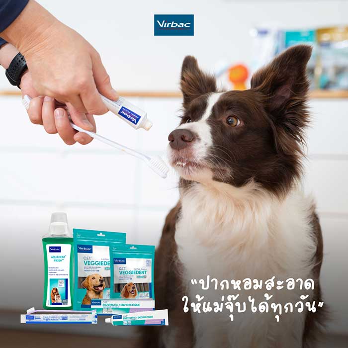 Pet Expo Thailand & Pet Expo Championship