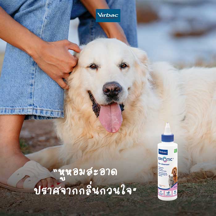 Pet Expo Thailand & Pet Expo Championship
