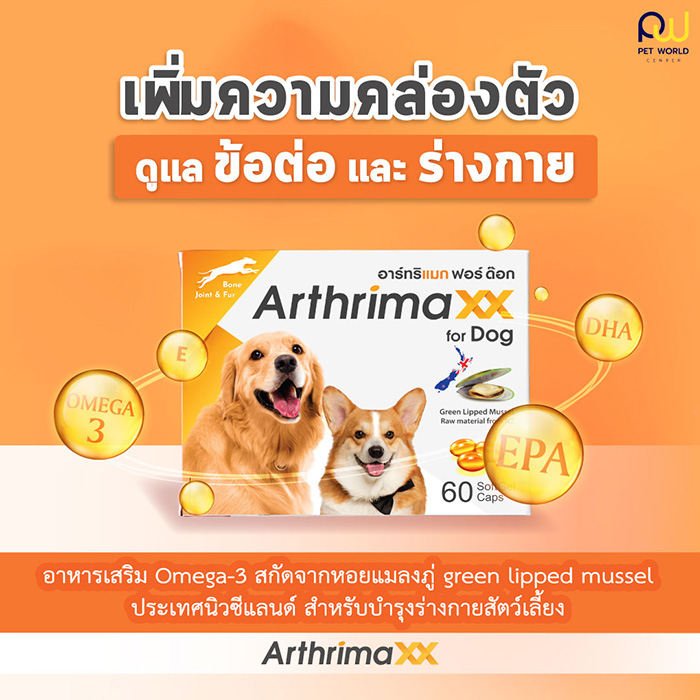 Pet Expo Thailand & Pet Expo Championship