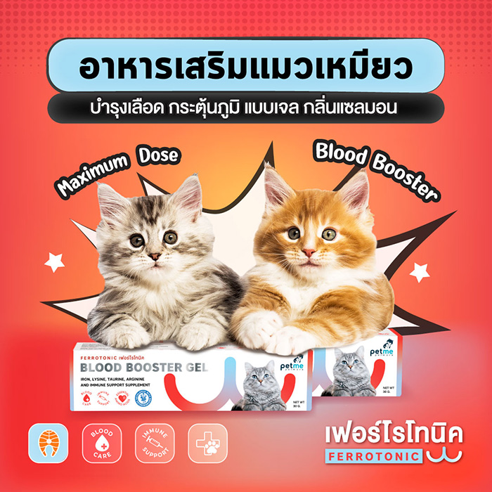 Pet Expo Thailand & Pet Expo Championship