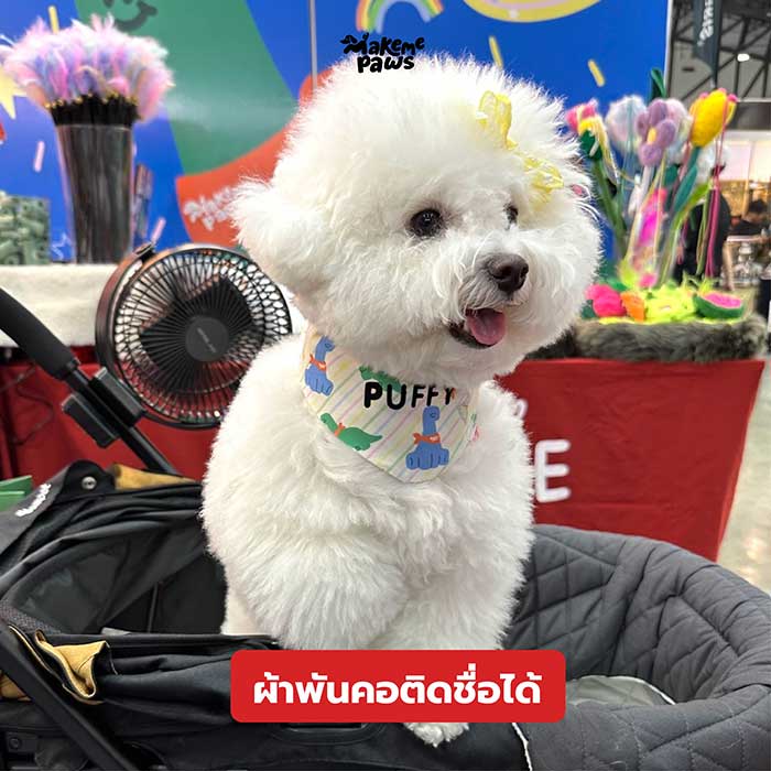 Pet Expo Thailand & Pet Expo Championship