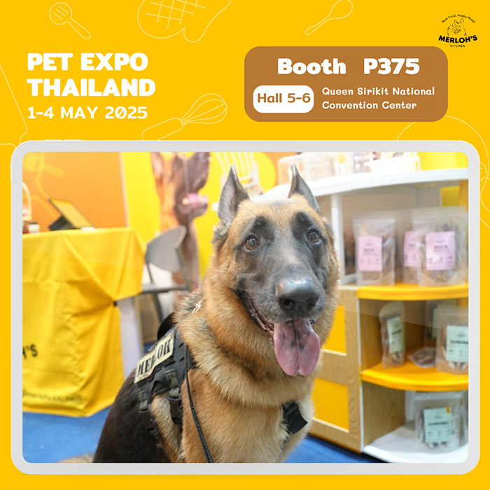 Pet Expo Thailand & Pet Expo Championship