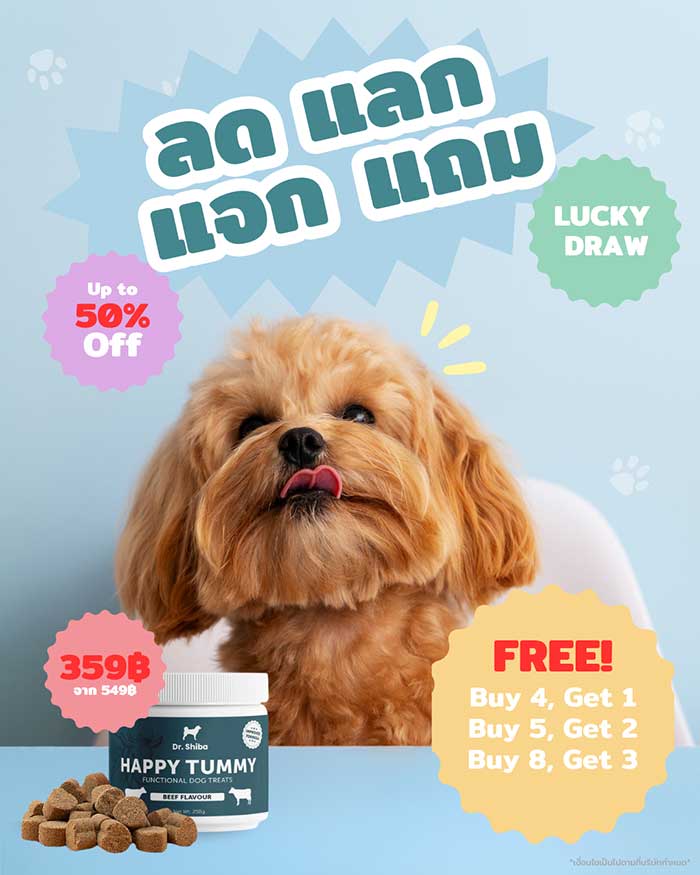 Pet Expo Thailand & Pet Expo Championship