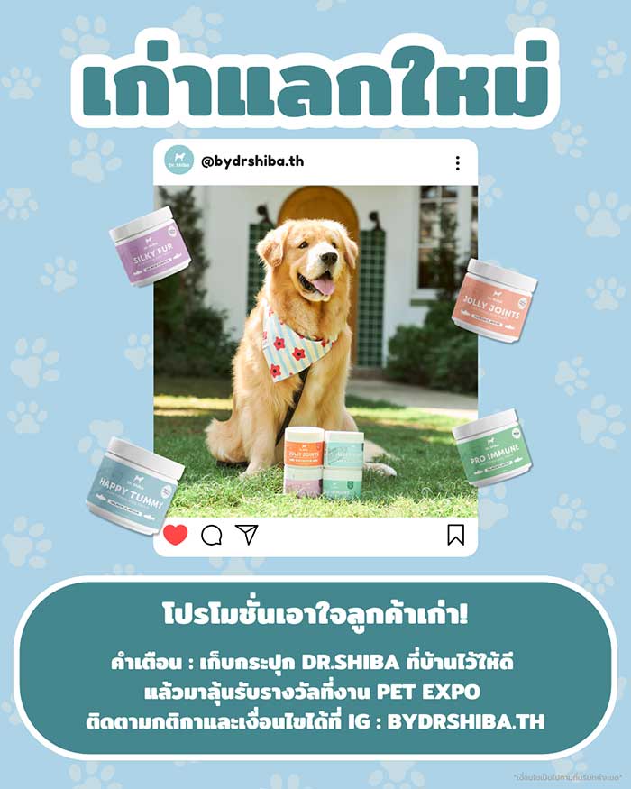 Pet Expo Thailand & Pet Expo Championship
